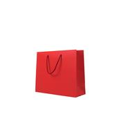 25 sacs luxe rouge pelliculs mat 30+10x25 cm