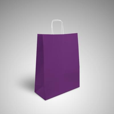 250 sacs kraft prune poignées torsadées 18+8x24 cm